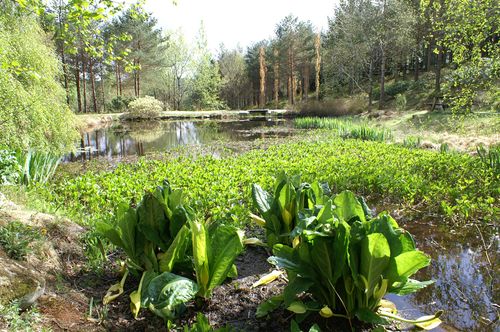 Nedre dam, 13. mai 2006. Foto: F. Ervik